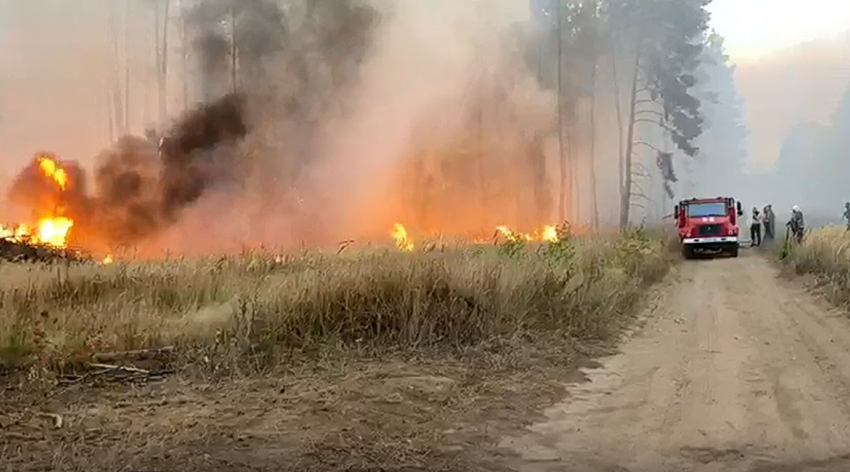 Опубликовано видео из эпицентра жуткого лесного пожара под Воронежем