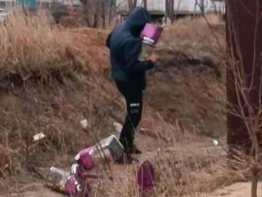 Сладкий потрошитель попал на видео в Воронеже