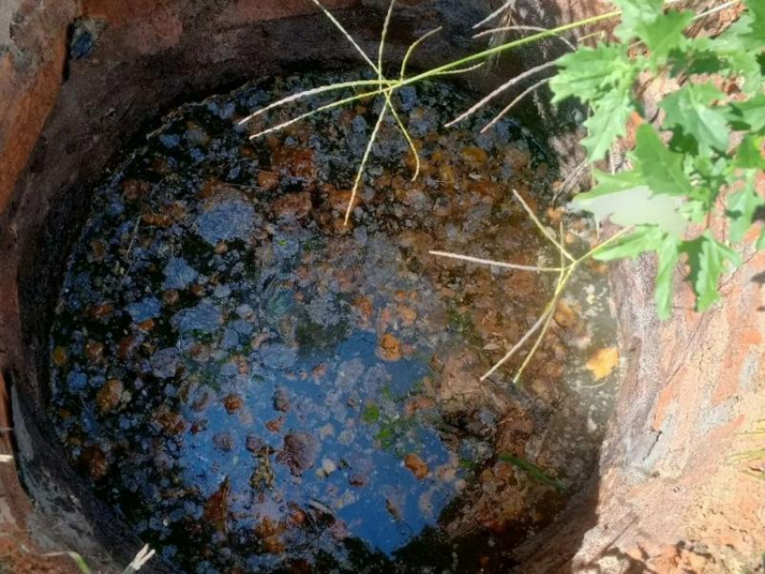 Чипотле из воды и кала заблокировал канализационные колодцы в Воронеже