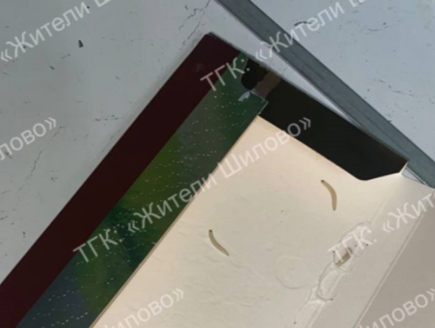 Червивая сладость: воронежец купил шоколадку с сюрпризом 