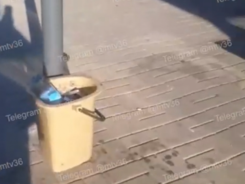 Унитаз-ведро для мусора поставили на остановке для комфорта воронежцев