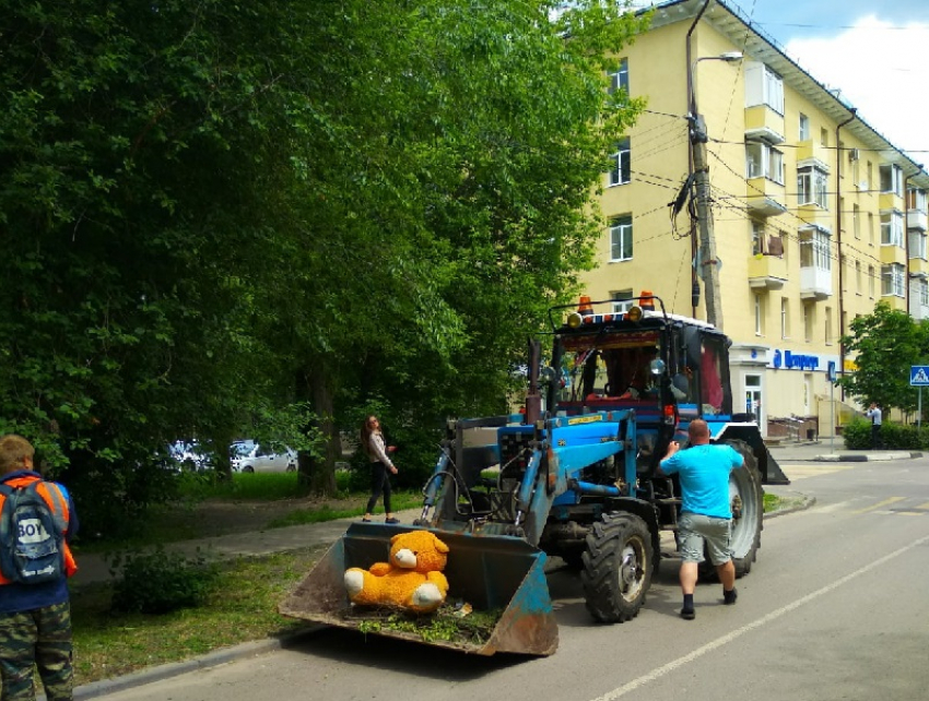 Игрушечный медведь стал пассажиром тракторного ковша в Воронеже
