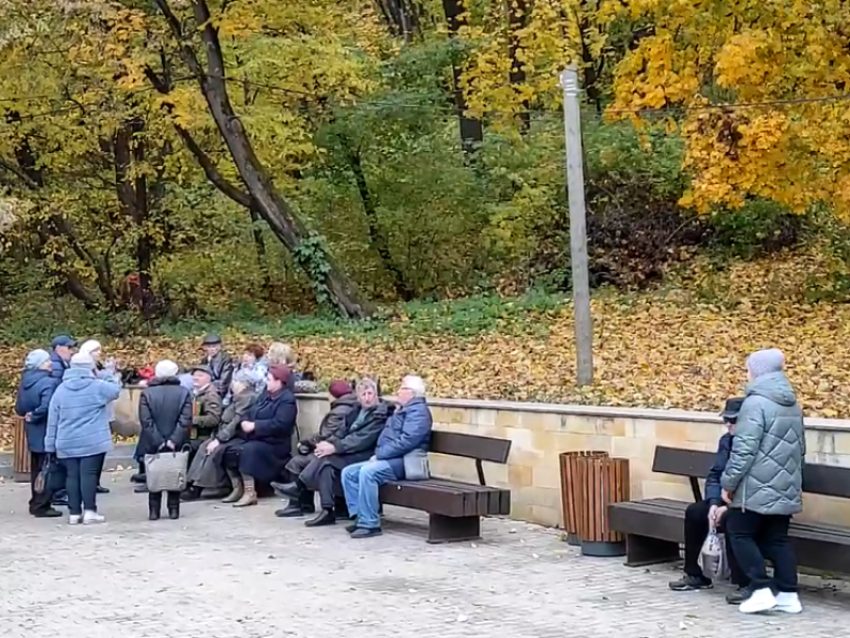 Воронежец показал, зачем бабушки и дедушки массово собираются в Центральном парке 
