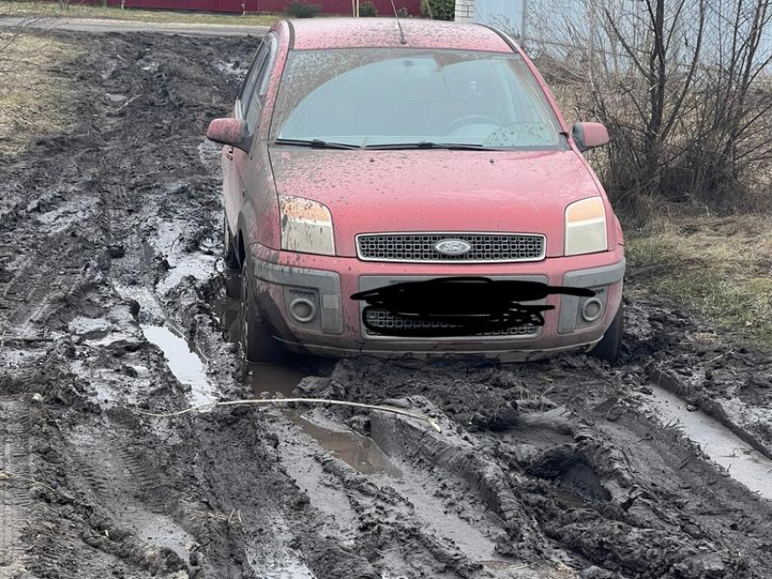 Болотом вместо дороги пристыдили чиновников под Воронежем 