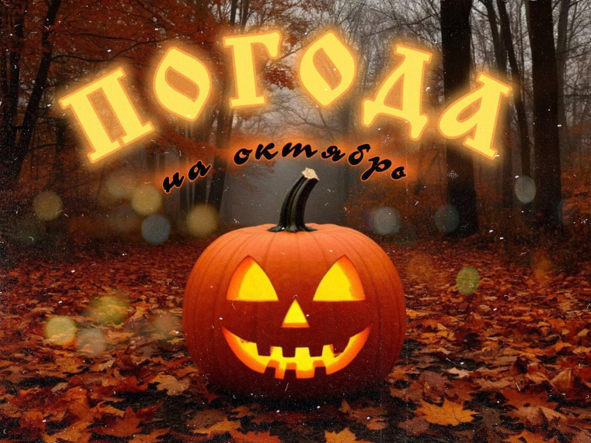 Мрачный октябрь: какая погода будет в конце месяца в Воронеже 