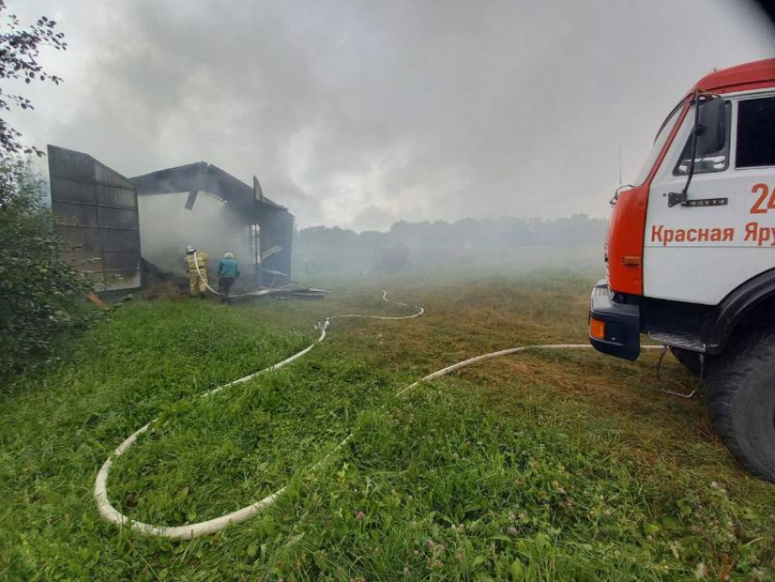 Неизвестный объект рухнул в белгородском селе 