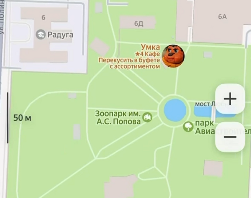  Воронежский зоопарк пережил мем-атаку кривомордыми конями