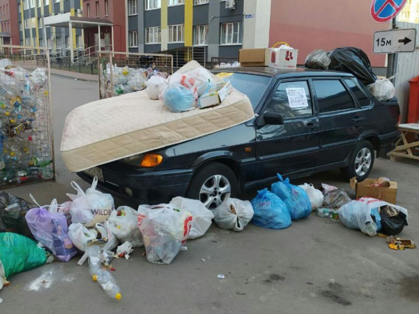 Мусорное унижение водителя устроили жители Борового в Воронеже