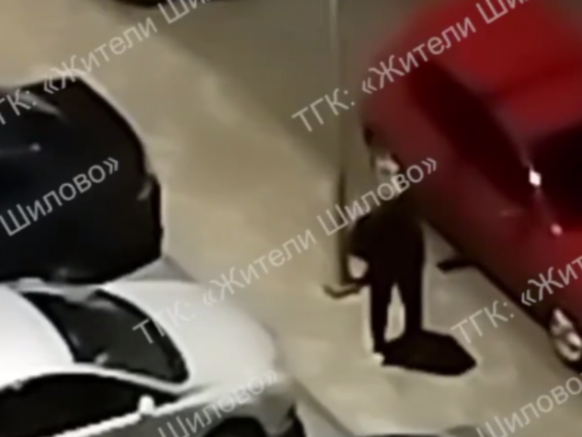 "Джокер» напугал жителей Воронежа громким смехом