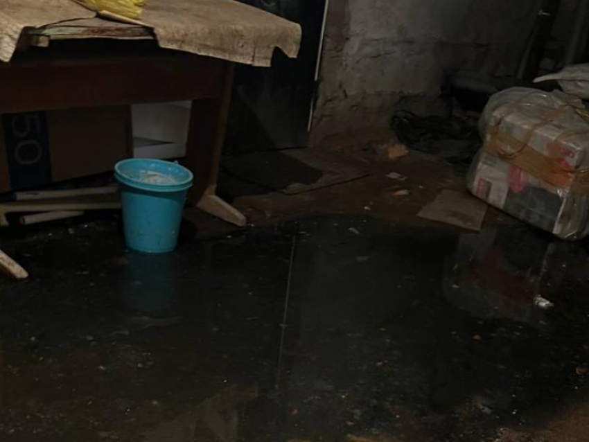 Фекалии, крысы и блохи: коммунальная авария превратила в ад жизнь воронежской многоэтажки