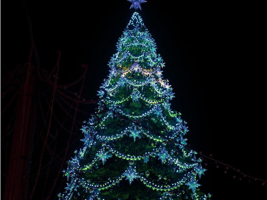 26-метровая воронежская елка попала в топ-3 красивых новогодних деревьев 