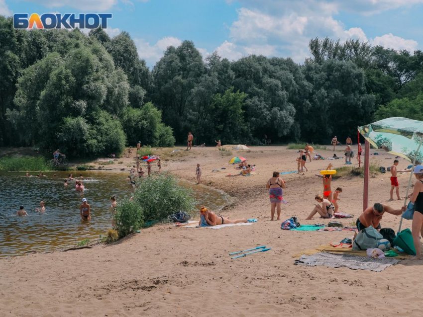 Из-за угрозы пожаров в Воронежской области продлили желтый уровень опасности