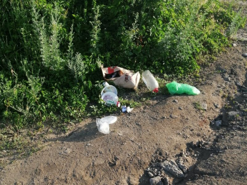 Воронежцы возмутились грязным поведением посетителей парка «Оптимистов»
