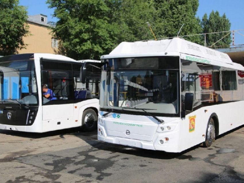 Воронеж связали с Запорожской областью новым автобусным маршрутом