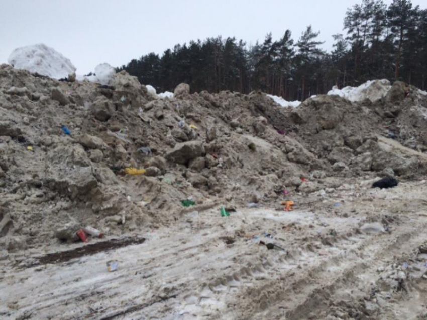 Неприятное кладбище убранного снега нашли на Левом берегу Воронежа 