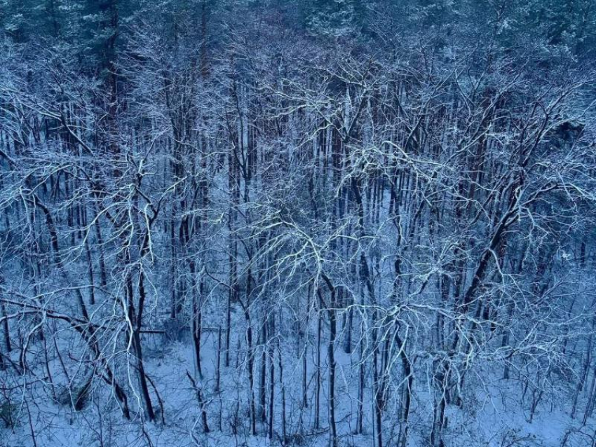 Зимнее настроение захлестнуло Воронеж – вот результат 