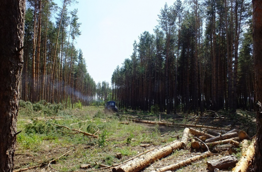 Красотка и трактор