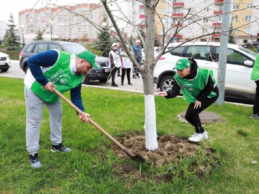 Нововоронежские эко-волонтеры попали в фокус внимания директора «Росатома»