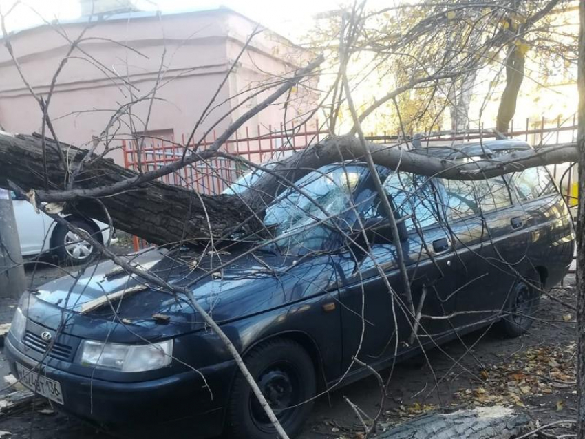 Последствия сильного ветра показали в Воронеже