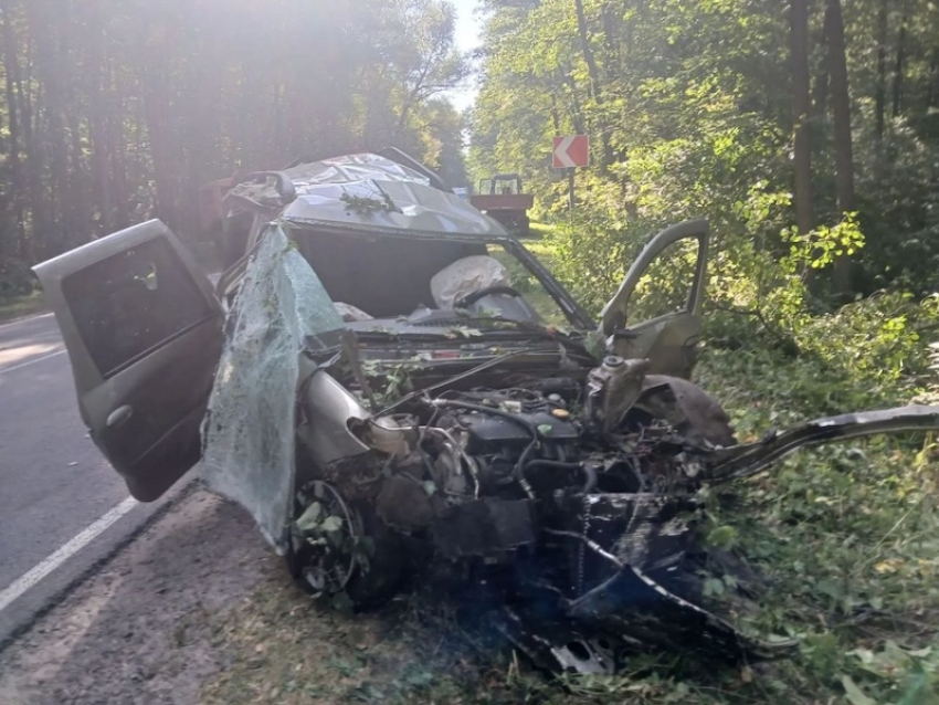 Ночная авария унесла сразу две жизни в Воронежской области 