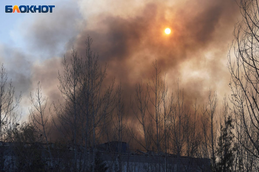 Названо количество беспилотников, атаковавших ночью Воронежскую область