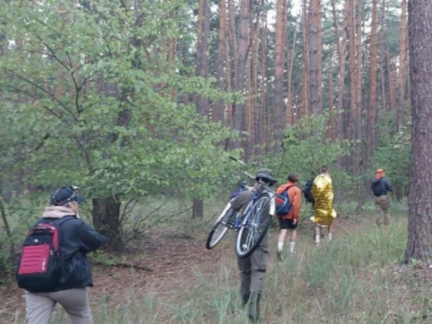 "Сердце было готово выпрыгнуть из груди", – двое школьников пропали, заблудившись в лесу под Воронежем