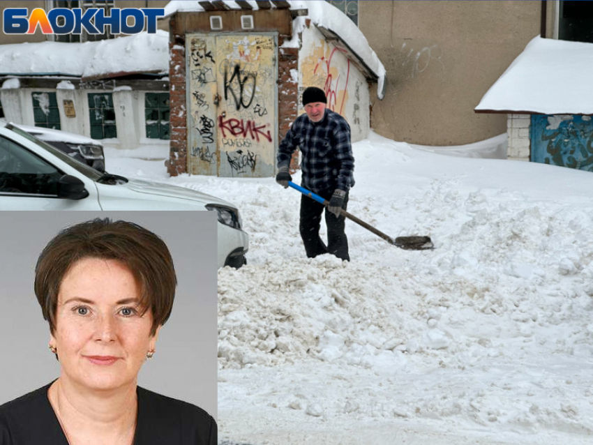 Сам себе дворник: депутат предложила жителям самим чистить снег в городах