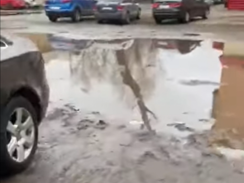 Неприглядное состояние левого берега в мэрии Воронежа объяснили таянием снега 