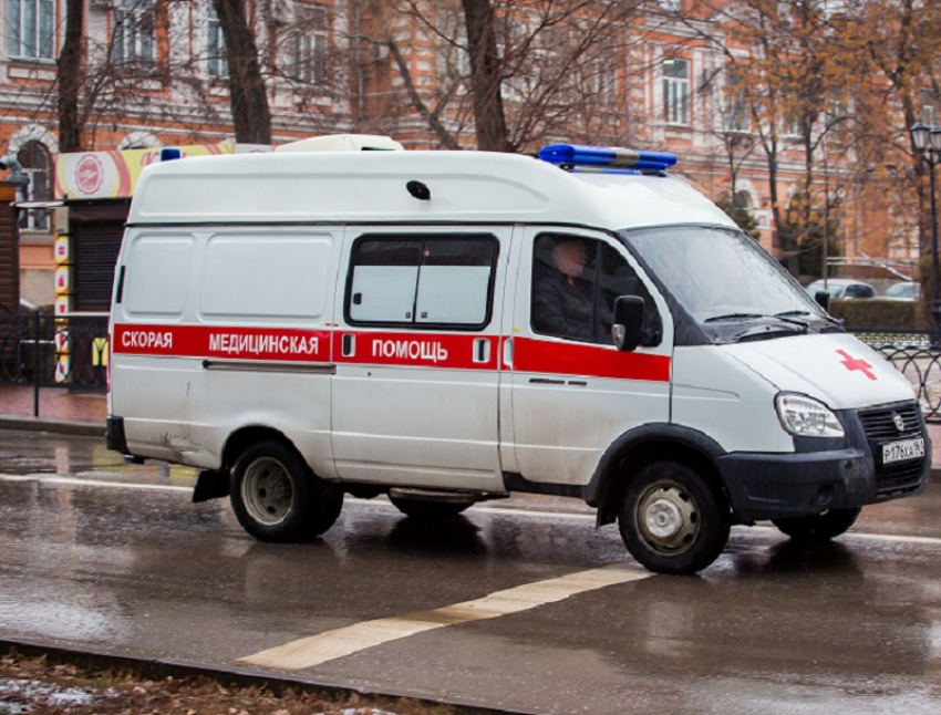 Водитель Renault погиб в ДТП с деревом в Воронежской области 