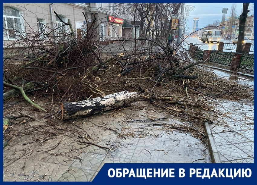 Брошенные обрезки деревьев в центре Воронежа прокомментировали в мэрии