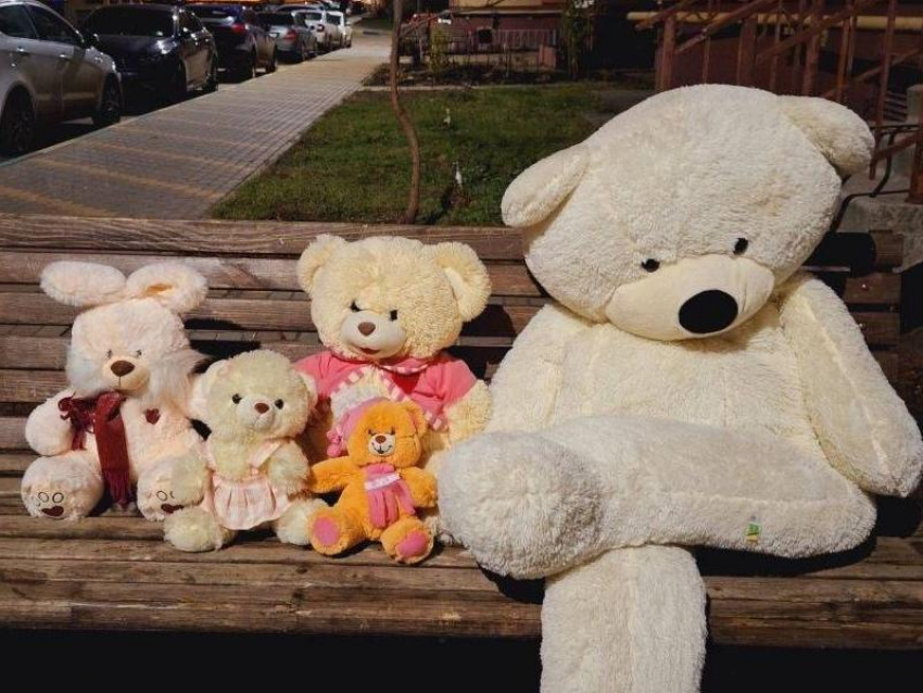 Семейная «история игрушек» появилась на воронежской улице