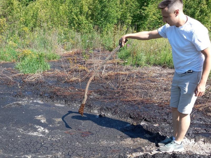 Лужи химикатов посреди мёртвой земли обнаружили в Воронежской области