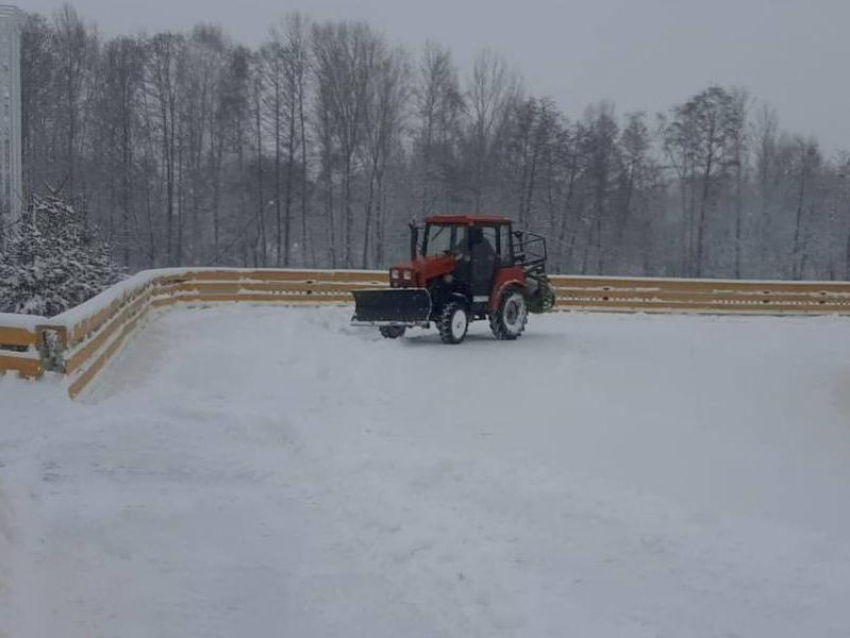 Каток на Адмиралтейской площади временно закрыли в Воронеже