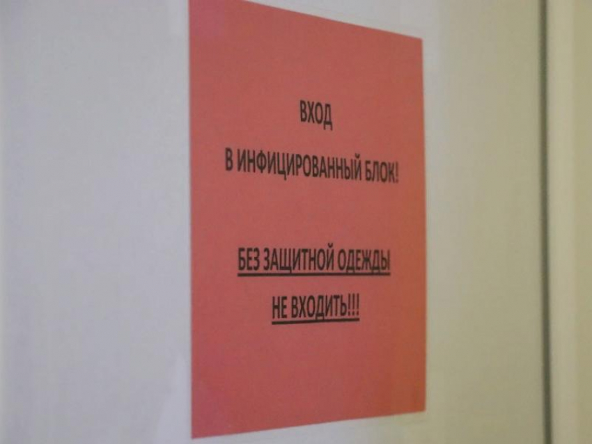  472 студента воронежского вуза сражаются с коронавирусом 