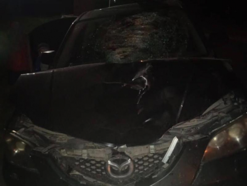 Водитель на Mazda 3 насмерть сбил 55-летнюю женщину в Воронеже
