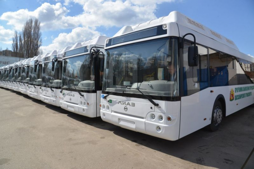  77 новых автобусов оформляют для передачи воронежским школам