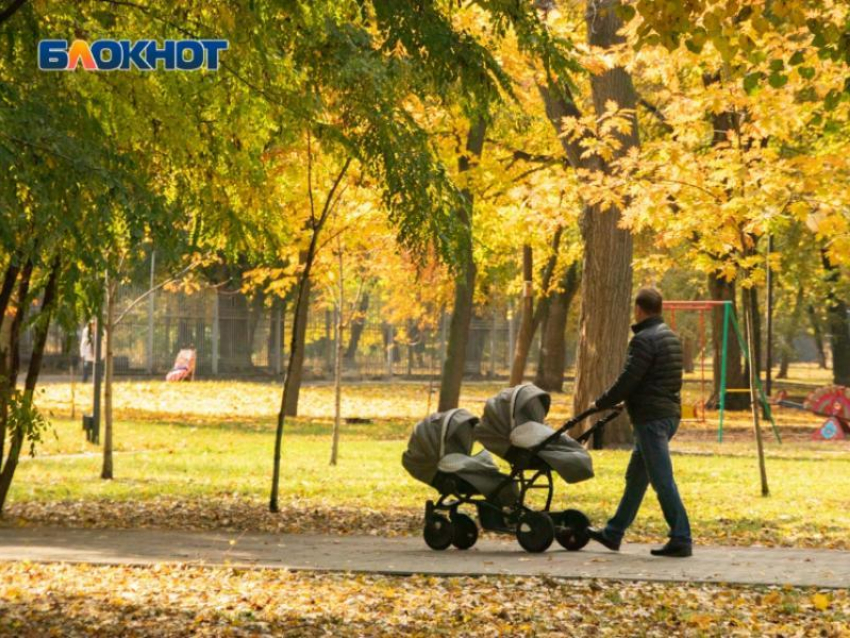 Синоптики рассказали, когда тепло покинет Воронеж 