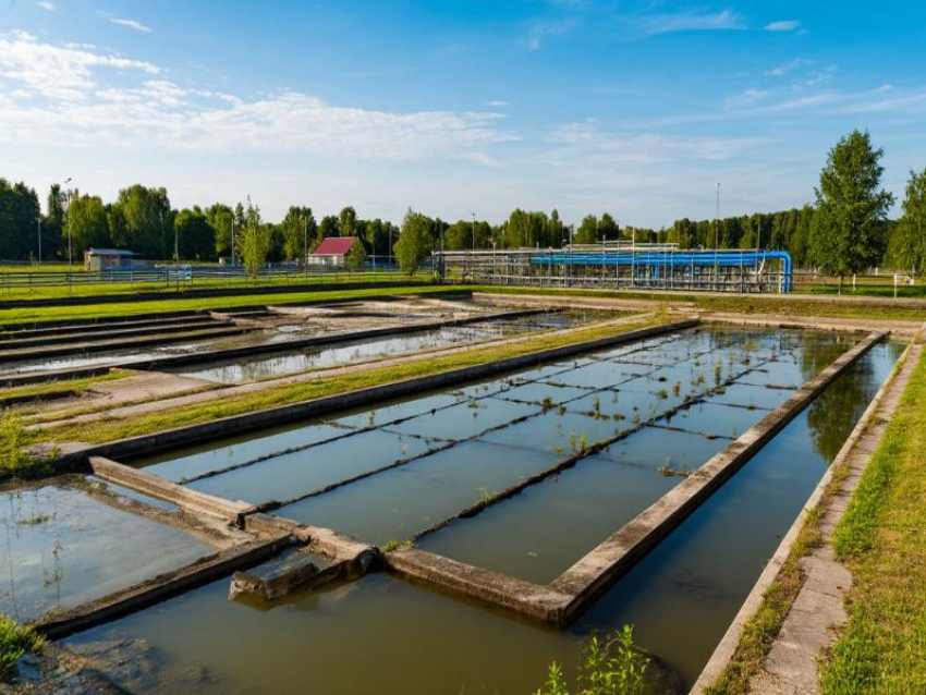 Росприроднадзор не оставляет попыток отсудить более 145 млн у воронежских мэрии и коммунальщиков