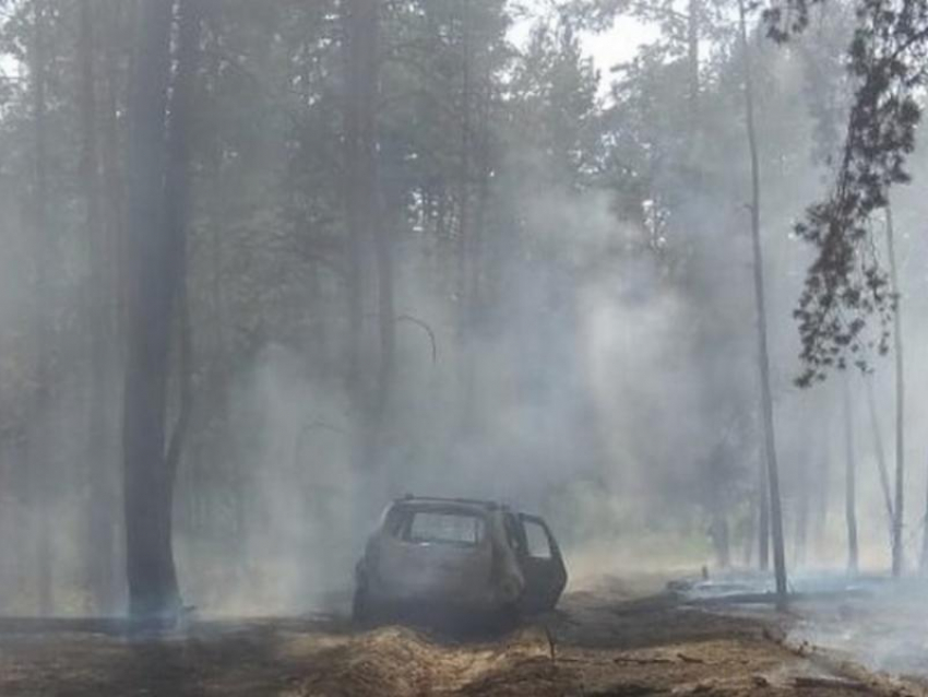 Загоревшиеся машины подожгли лес в Воронежской области