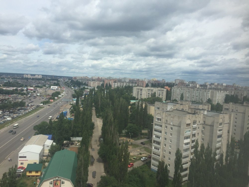 Синоптики заявили, что лета в Воронеже уже не будет