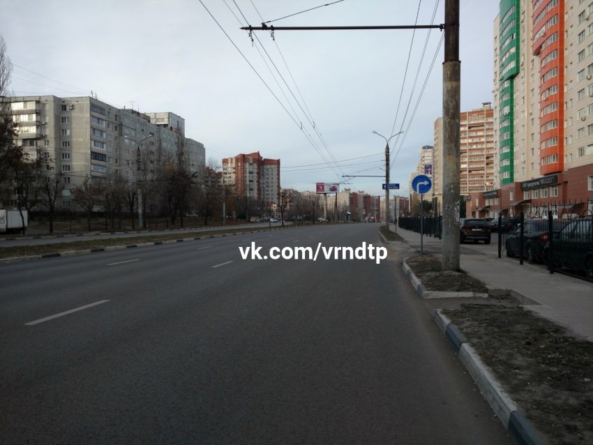 Установленный для дорогих нарушений знак заметили в Воронеже