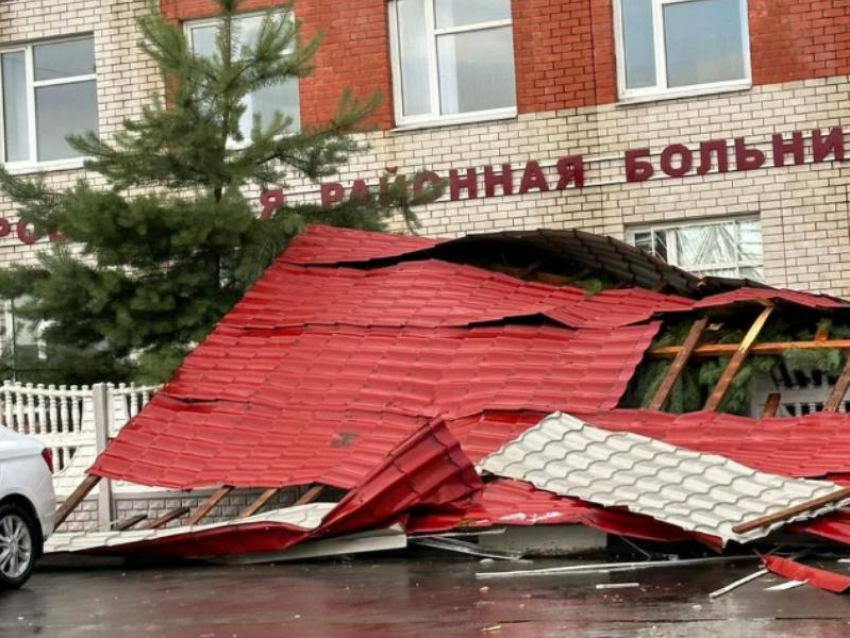 Последствия мощного ливня с градом показали на фото в Воронежской области