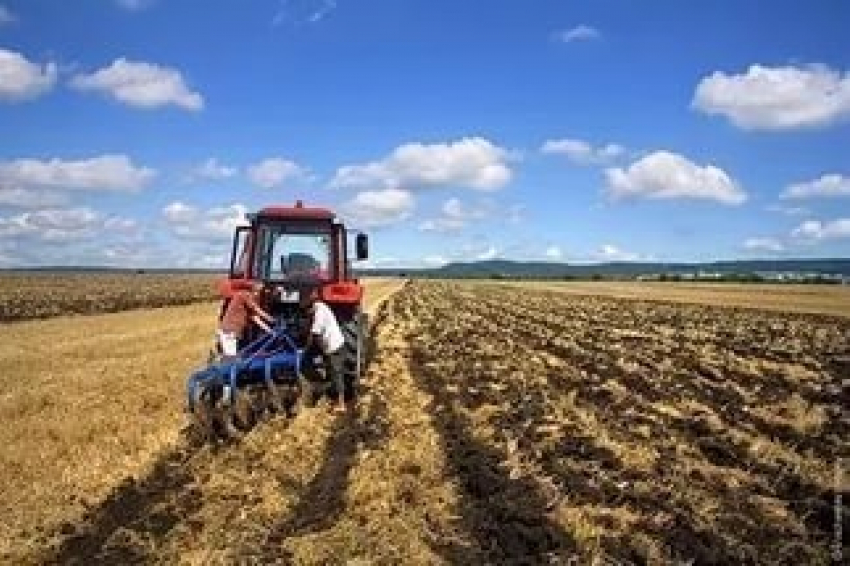 Сохранение целостности земельных массивов крупных сельхозтоваропроизводителей ­ сложная, но вполне выполнимая задача