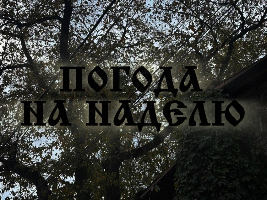 Осенняя неделя в Воронеже: с каждым днем все холоднее