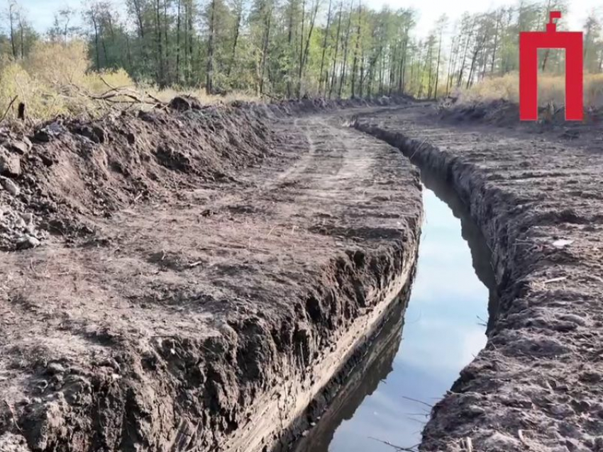 Незаконная траншея на Усманке причинила полумиллионный ущерб природе под Воронежем