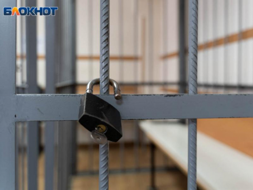Воронежский коммерсант может загреметь на 10 лет за хищения при реконструкции стадиона 