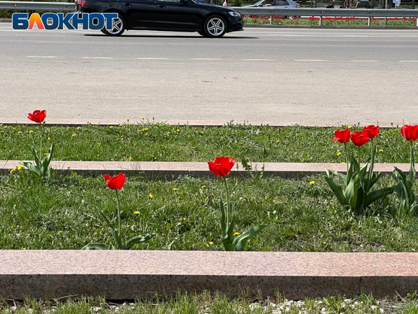 Долгожданное потепление скоро придет в Воронеж