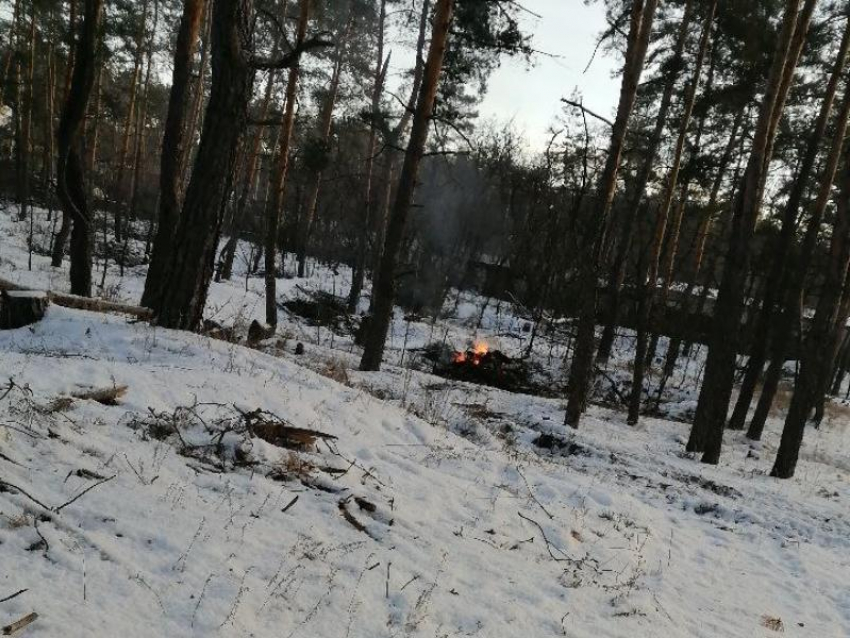 Непонятные зимние костры в лесу напугали жителей Воронежа 