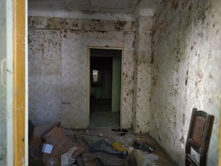 Рассадник бродяжничества под окнами правительства сняли в Воронеже