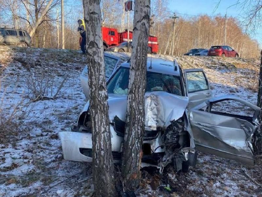 Дерево разворотило съехавшую в кювет машину под Воронежем – погибла женщина 